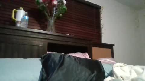 EtherealLilac online show from December 2024 03:45:02 AM