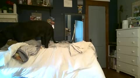 Snapshot of brunettebaby040 chatting on September 2025 05:13:02 PM brunettebaby040 online show from September 2025 05:13:02 PM