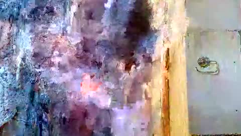 Snapshot of bruno0776 chatting on March 2025 07:19:01 AM bruno0776 online show from March 2025 07:19:01 AM