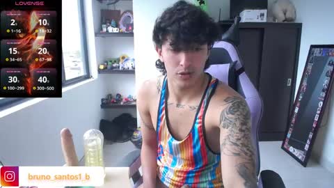 Snapshot of bruno_santos1 chatting on May 2026 02:45:01 PM Bruno online show from May 2026 02:45:01 PM