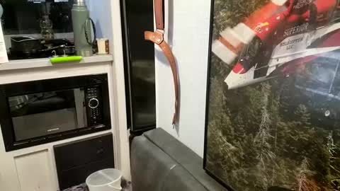 Snapshot of brushsquach chatting on February 2025 10:07:02 AM Steve... aka SkinnieDippin aka TimberTramp online show from February 2025 10:07:02 AM