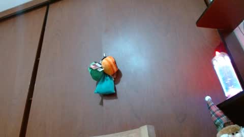 Enjoy the best muscle straws   online show from February 2025 04:24:01 PM