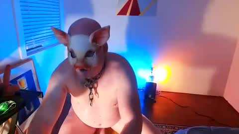 Snapshot of btmcub_sandiego chatting on February 2025 10:29:01 AM bottom freak online show from February 2025 10:29:01 AM