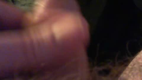 bullemoe online show from December 2025 09:52:02 PM