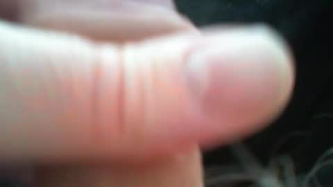 bullemoe online show from March 2026 12:31:01 PM