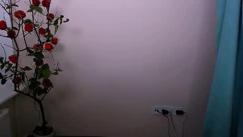 Snapshot of bunnybloom_ chatting on October 2025 04:13:01 AM Ariel online show from October 2025 04:13:01 AM