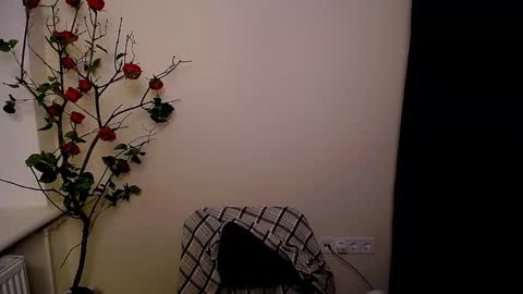 Ariel online show from March 2026 09:10:01 PM