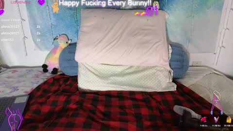 Snapshot of bunnycheekz chatting on January 2025 02:00:02 AM Tokki bunny online show from January 2025 02:00:02 AM