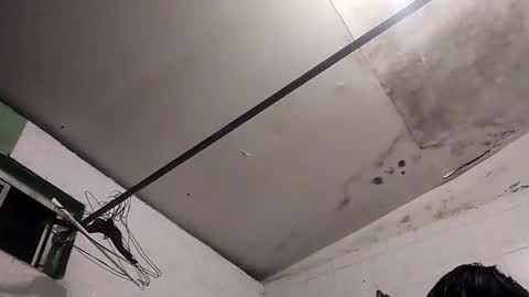 bunnychocolatte69 online show from November 2025 05:00:02 AM