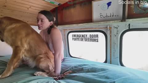 busbuddies online show from December 2024 04:49:01 PM