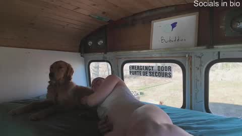 busbuddies online show from December 2024 03:54:02 PM