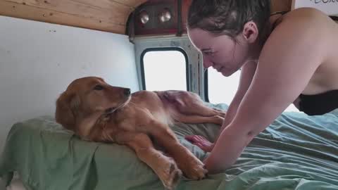 busbuddies online show from February 2025 04:54:01 PM