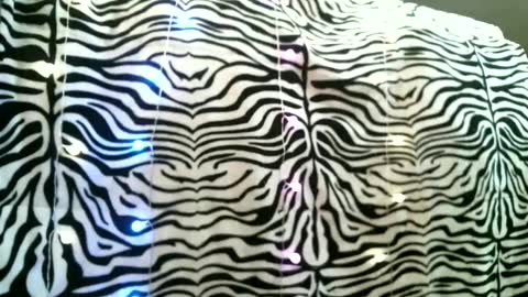 bustinfree online show from February 2025 03:42:02 PM