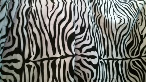 bustinfree online show from February 2025 03:37:02 PM