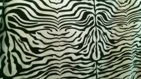 bustinfree online show from January 2026 02:55:02 PM