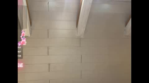 Snapshot of bustytube chatting on January 2025 06:21:01 PM BUSTYtube online show from January 2025 06:21:01 PM