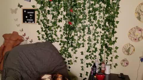 butterfly booty online show from November 2025 05:09:02 AM