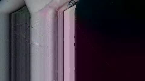 Snapshot of bwchou chatting on February 2025 06:12:01 PM BWCHOU online show from February 2025 06:12:01 PM