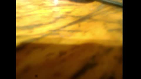 Snapshot of bzxxbzh chatting on February 2026 04:14:02 PM bzxxbzh online show from February 2026 04:14:02 PM