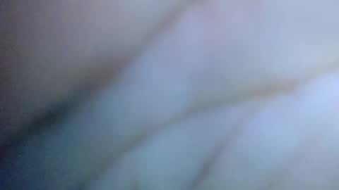 Snapshot of cactus_1041 chatting on June 2026 07:43:01 AM Cactus1041 online show from June 2026 07:43:01 AM
