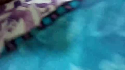 calentito38 online show from May 2026 01:44:01 AM