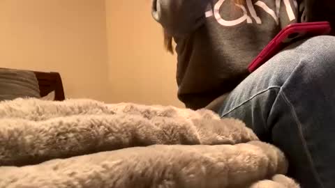 calishop1 online show from December 2024 01:58:02 AM