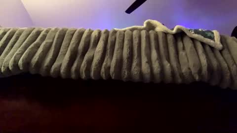 calishop1 online show from February 2025 03:34:02 AM