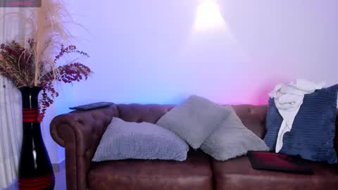 Snapshot of calmacaos chatting on February 2026 01:20:01 PM calmacaos online show from February 2026 01:20:01 PM