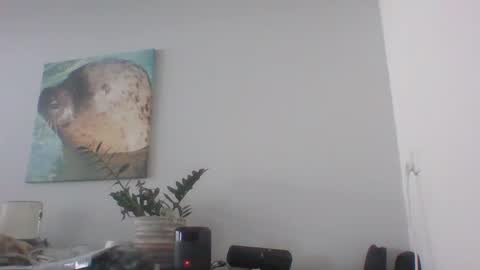 Snapshot of camboyhappydave chatting on December 2024 12:44:02 PM Dave online show from December 2024 12:44:02 PM