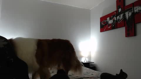 camila online show from March 2025 11:16:01 AM