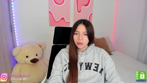 Snapshot of camila_ec2 chatting on January 2025 11:01:02 PM C A M I online show from January 2025 11:01:02 PM