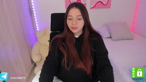 Snapshot of camila_ec2 chatting on February 2025 11:26:02 PM C A M I online show from February 2025 11:26:02 PM