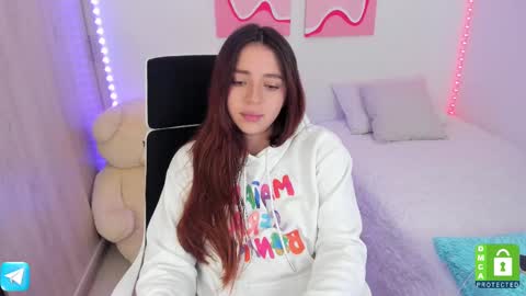 Snapshot of camila_ec2 chatting on February 2025 09:13:02 PM C A M I online show from February 2025 09:13:02 PM