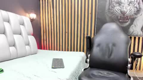 Snapshot of camilo_contrerass chatting on July 2026 02:05:17 AM Camilo online show from July 2026 02:05:17 AM