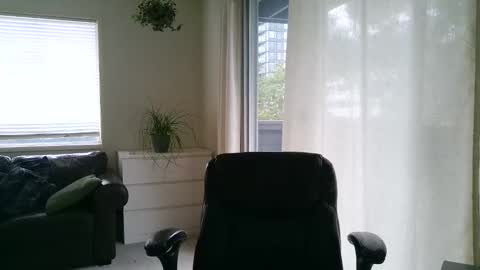 Devon online show from March 2025 04:18:01 PM