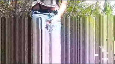 Candi Cakes online show from March 2026 08:04:01 PM