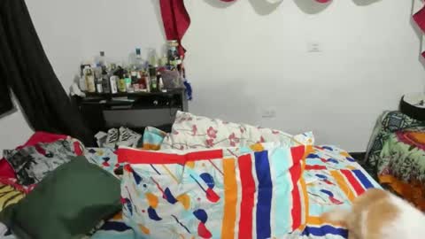 candlex  online show from February 2025 03:35:02 AM