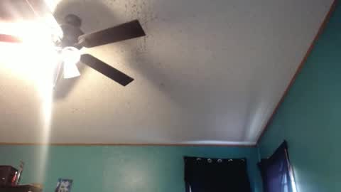 candyshop2024 online show from December 2025 12:55:01 PM