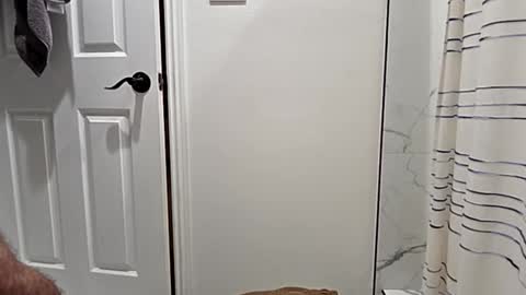 cappinrc8 online show from January 2026 02:39:01 AM