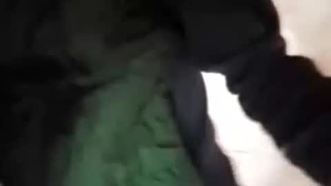 Snapshot of capri34 chatting on September 2025 07:48:02 PM capri34 online show from September 2025 07:48:02 PM