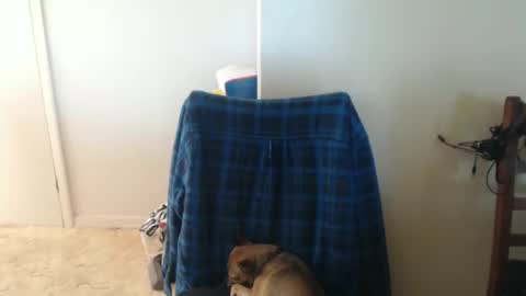 capt5105 online show from March 2026 03:13:02 AM