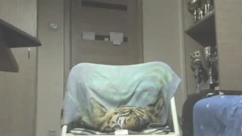Snapshot of carin_the_body chatting on July 2026 11:50:02 PM Laz online show from July 2026 11:50:02 PM