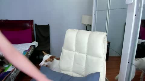 carla_bigcock09 online show from February 2025 11:09:02 AM