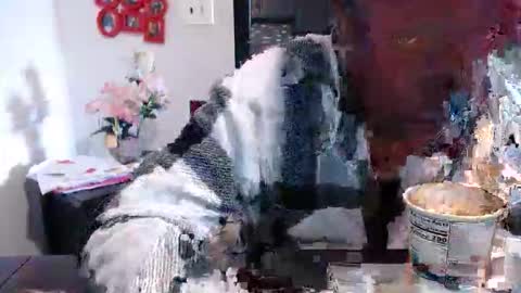 Snapshot of carliecreams chatting on March 2026 02:45:03 PM Carlie online show from March 2026 02:45:03 PM