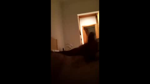 carlos1234500 online show from January 2026 07:12:01 AM