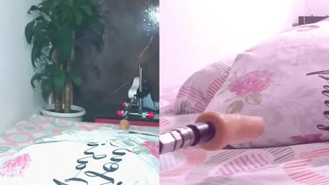 Carol online show from April 2026 11:03:02 AM