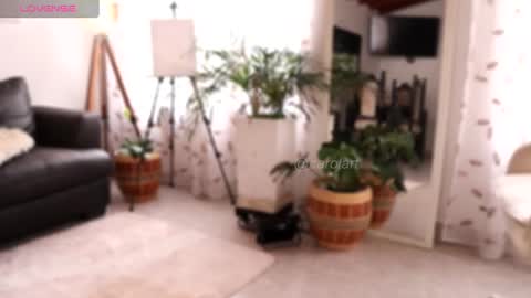 Snapshot of carolart chatting on January 2025 03:20:01 PM carolart online show from January 2025 03:20:01 PM