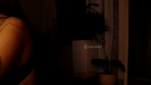 Snapshot of carolart chatting on February 2025 03:00:02 AM carolart online show from February 2025 03:00:02 AM