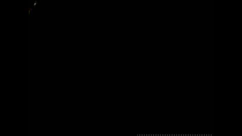 Snapshot of caryb chatting on December 2024 06:04:01 AM caryb online show from December 2024 06:04:01 AM