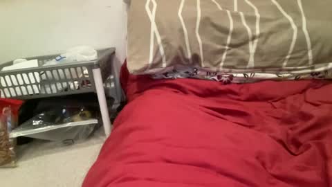 casanovacasaa online show from February 2025 07:19:02 PM